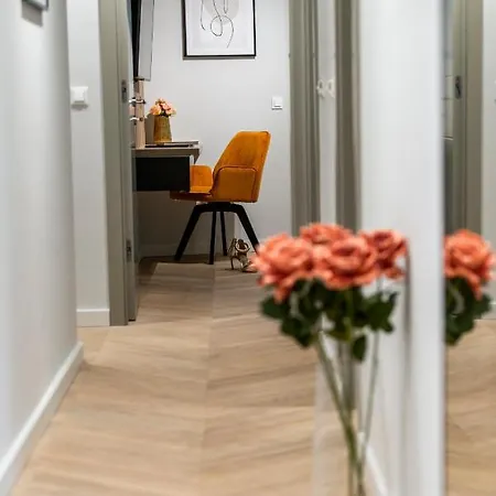 Premium V * 杜布罗夫尼克